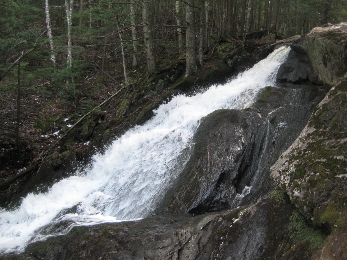 Side view of the springtime flow