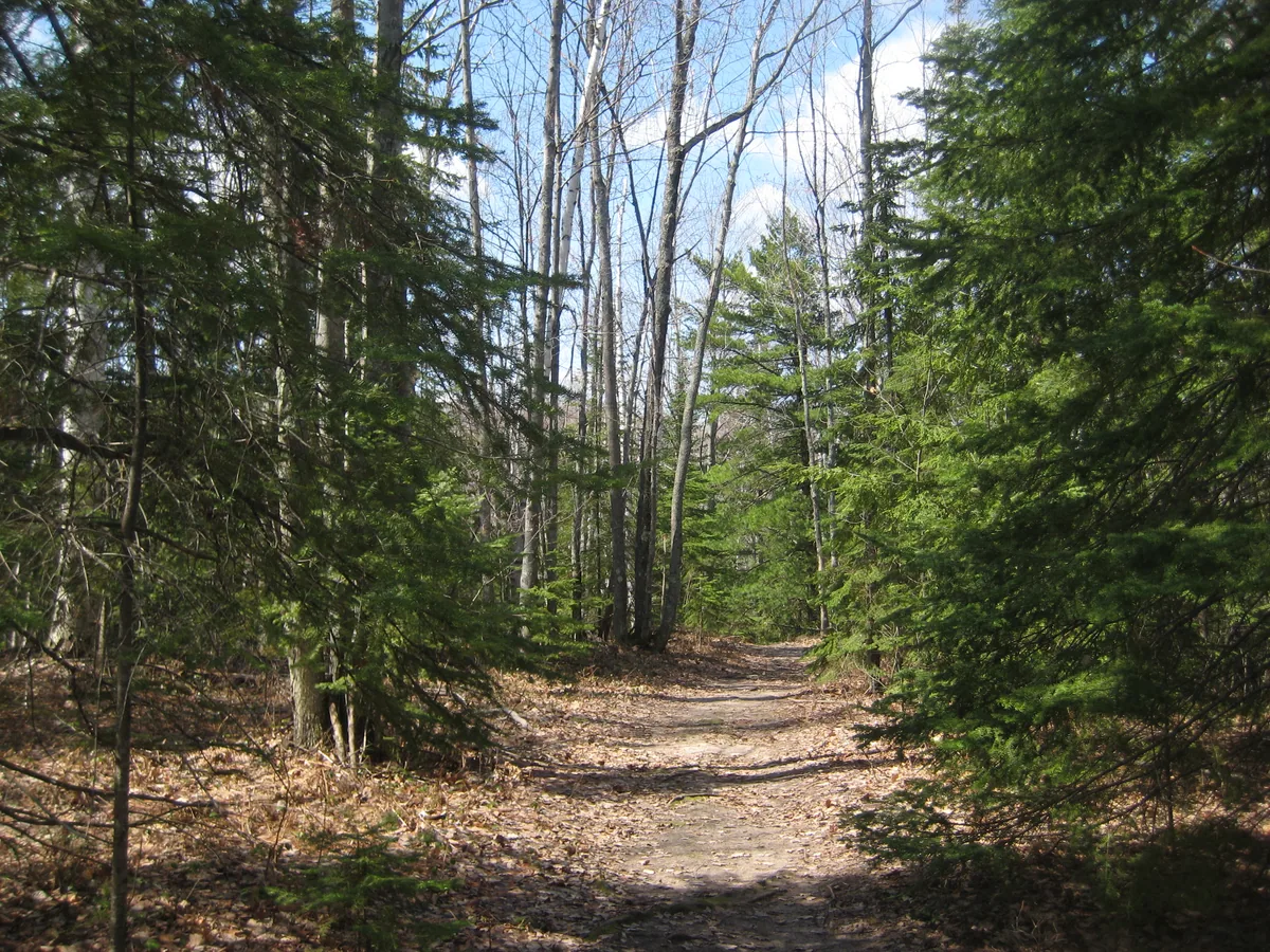 Path down to Alder Falls