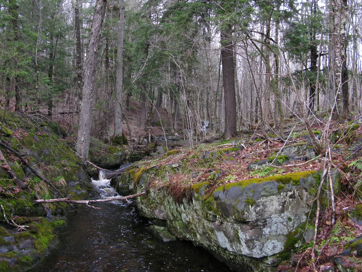 Hard slabs of rock near the creek