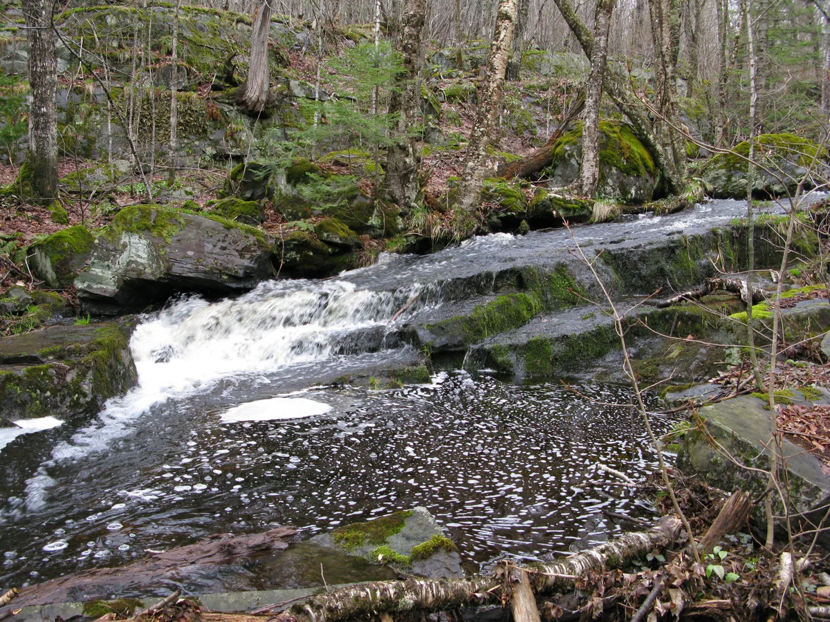 A log slide down