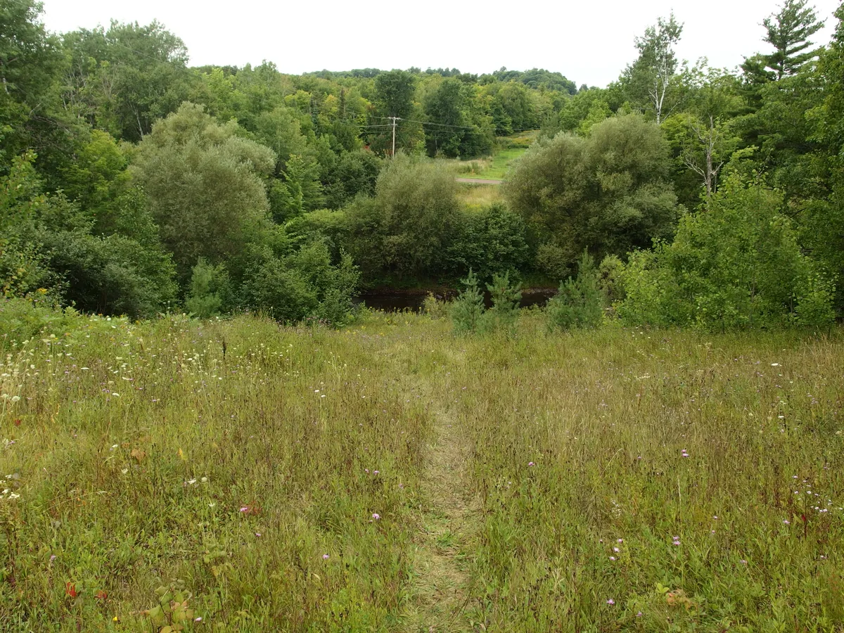 Easy path through the grass