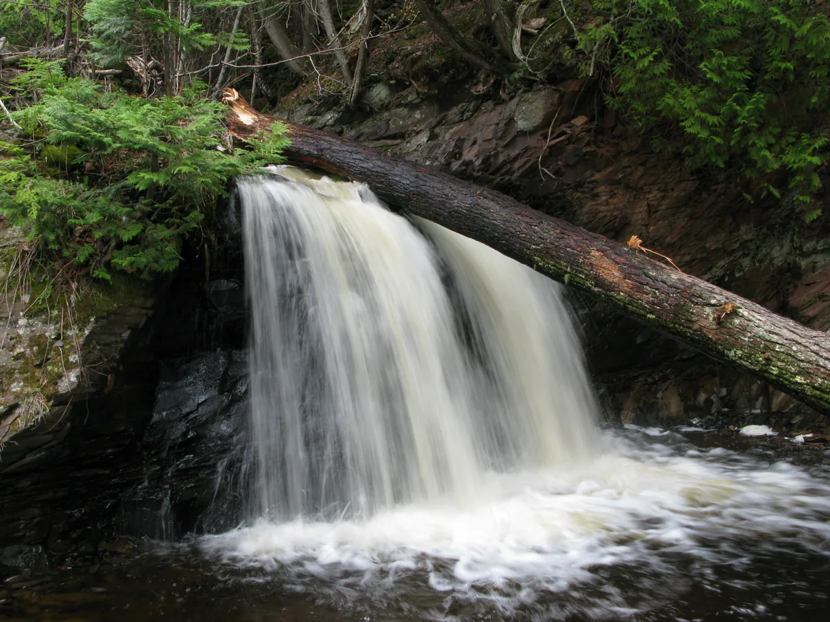 Streaming plunge and log on the right side