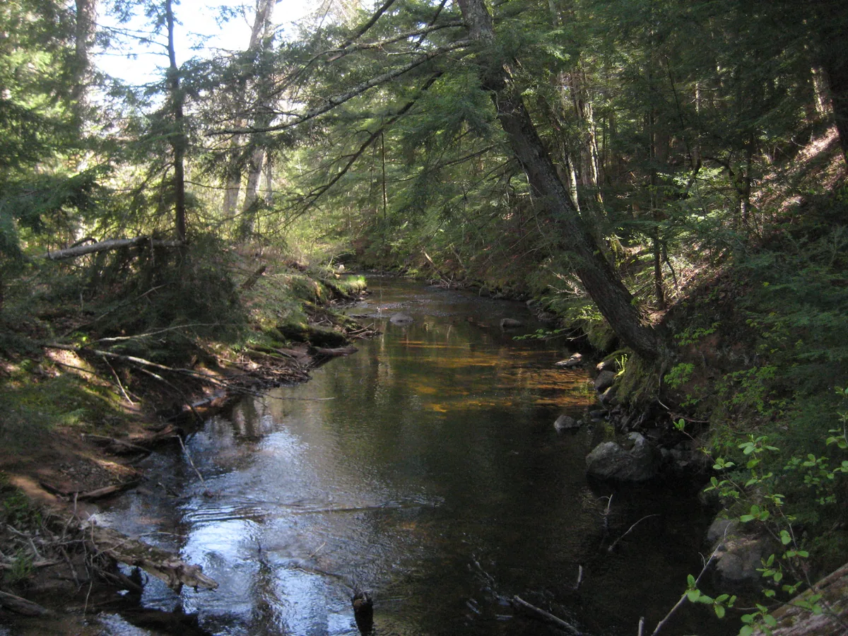 Calm stretch on the river