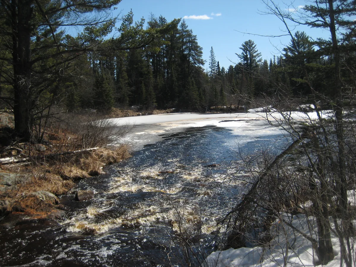 Foamy pond below the falls