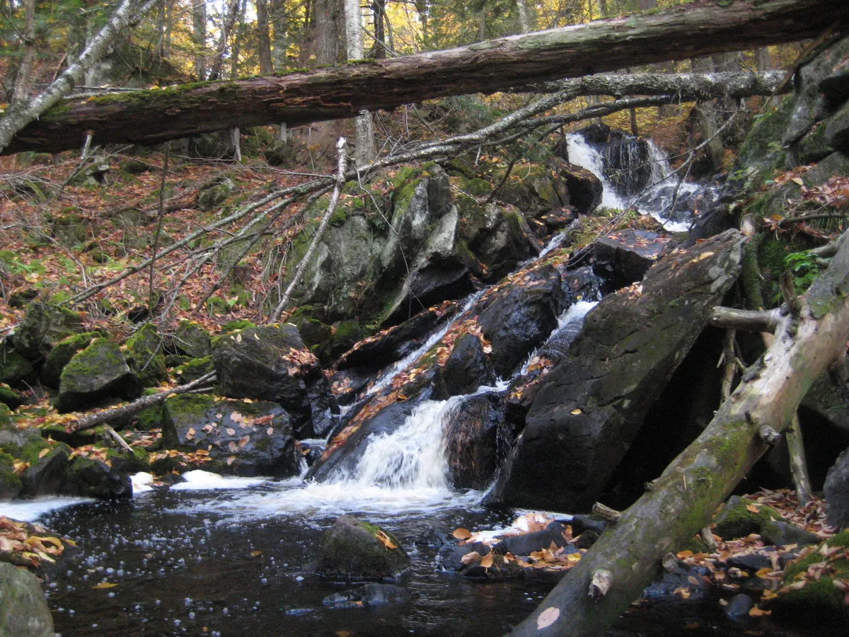 Unique cascades into a small pool