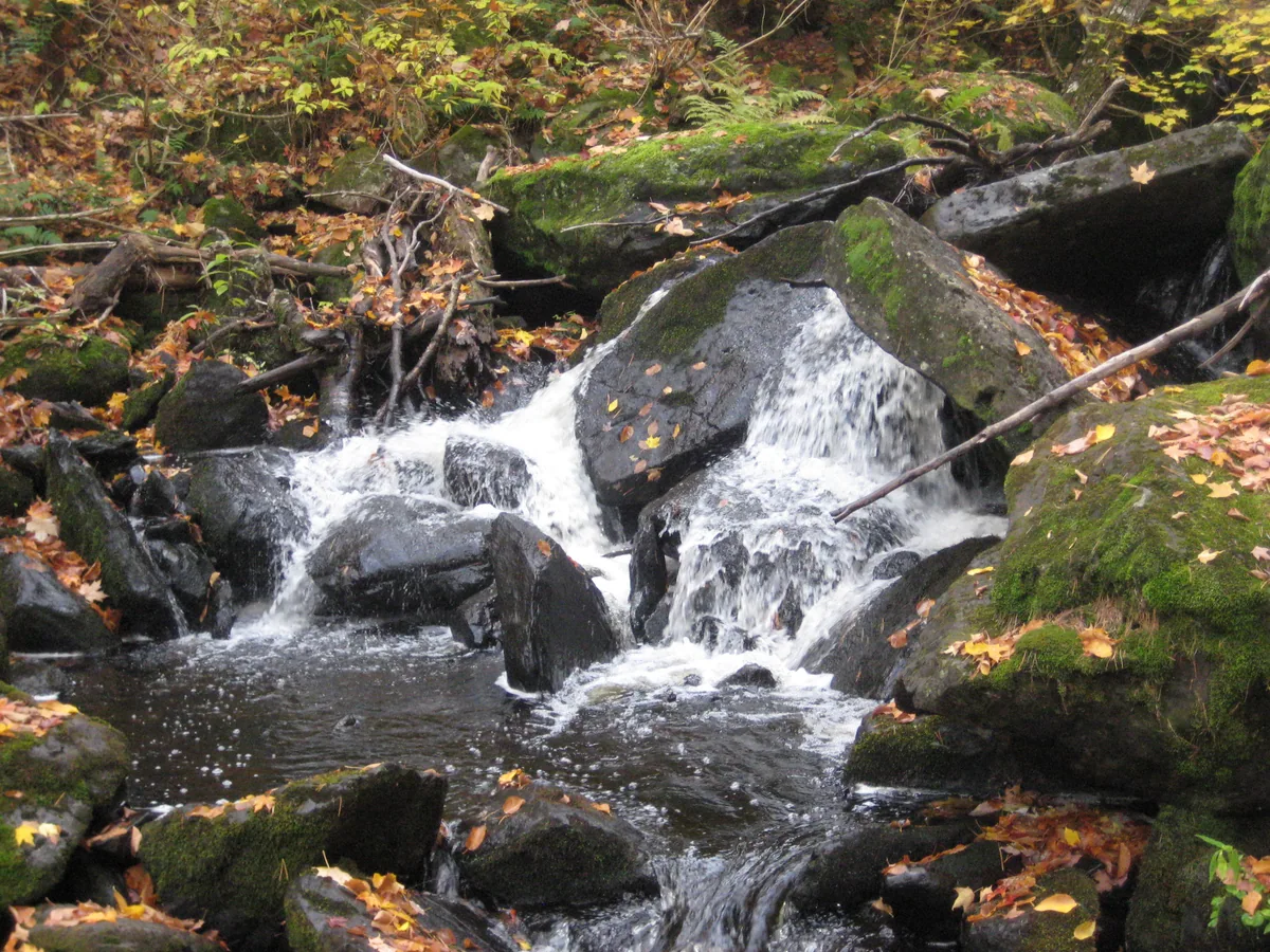Rocky jumbled drop