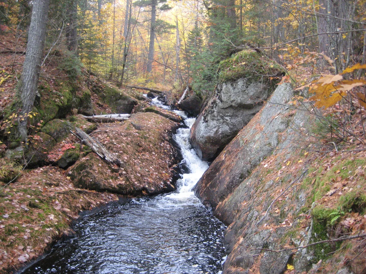 Snaking channels on the river