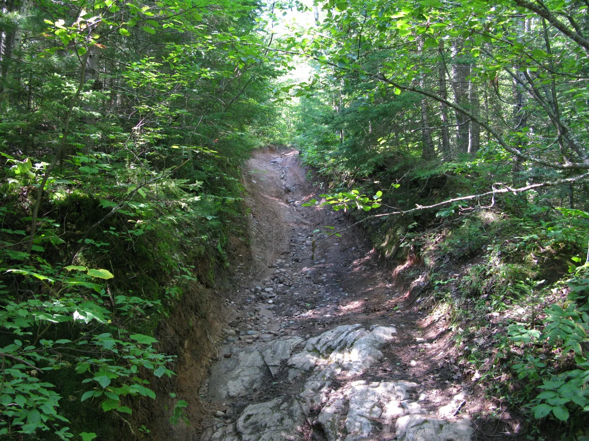 Rutted drive over the creek
