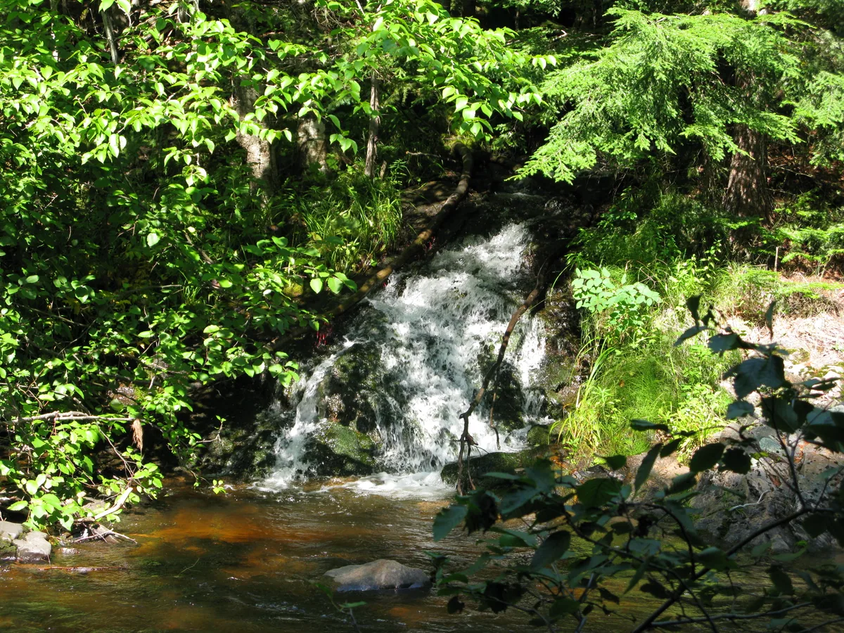 Sun speckling over Brushy Creek Falls