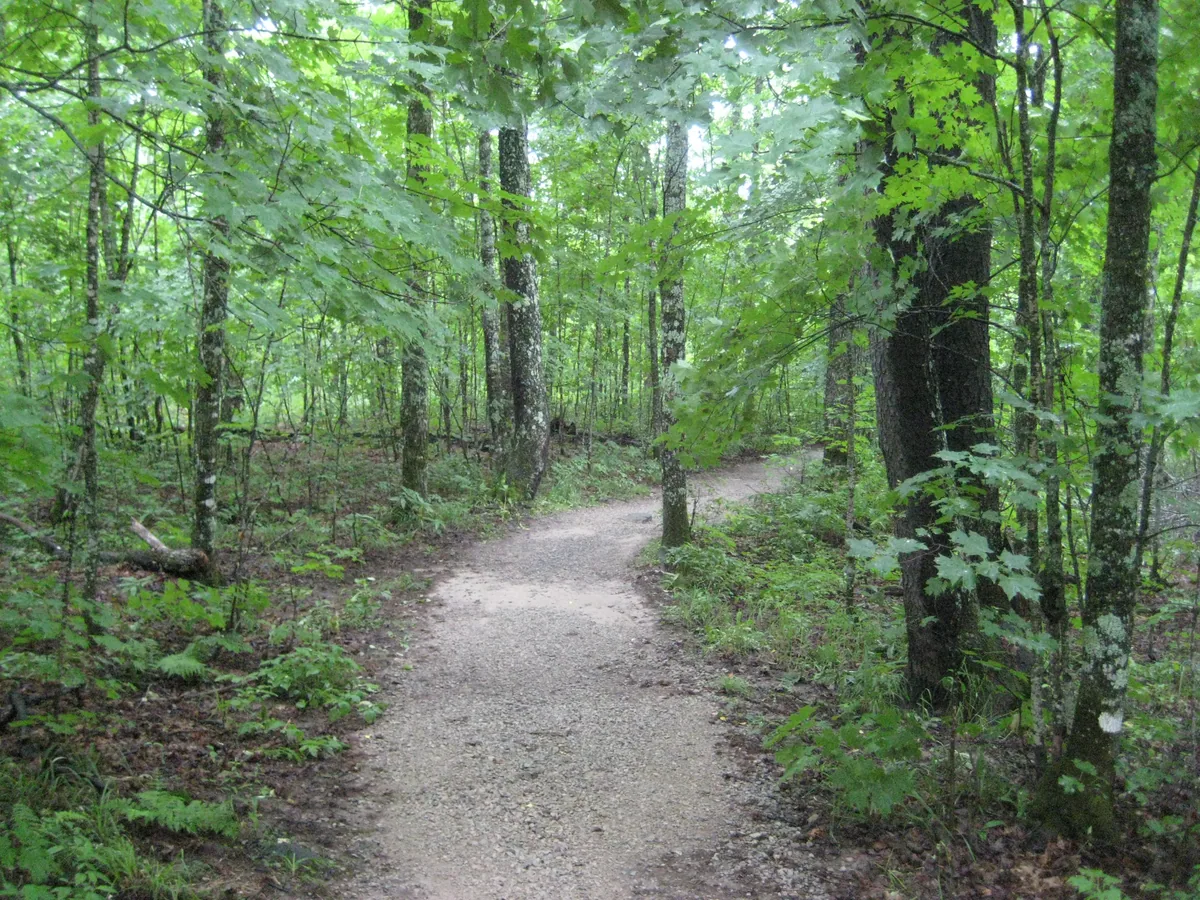 Easy rock path at Canyon River Falls Park