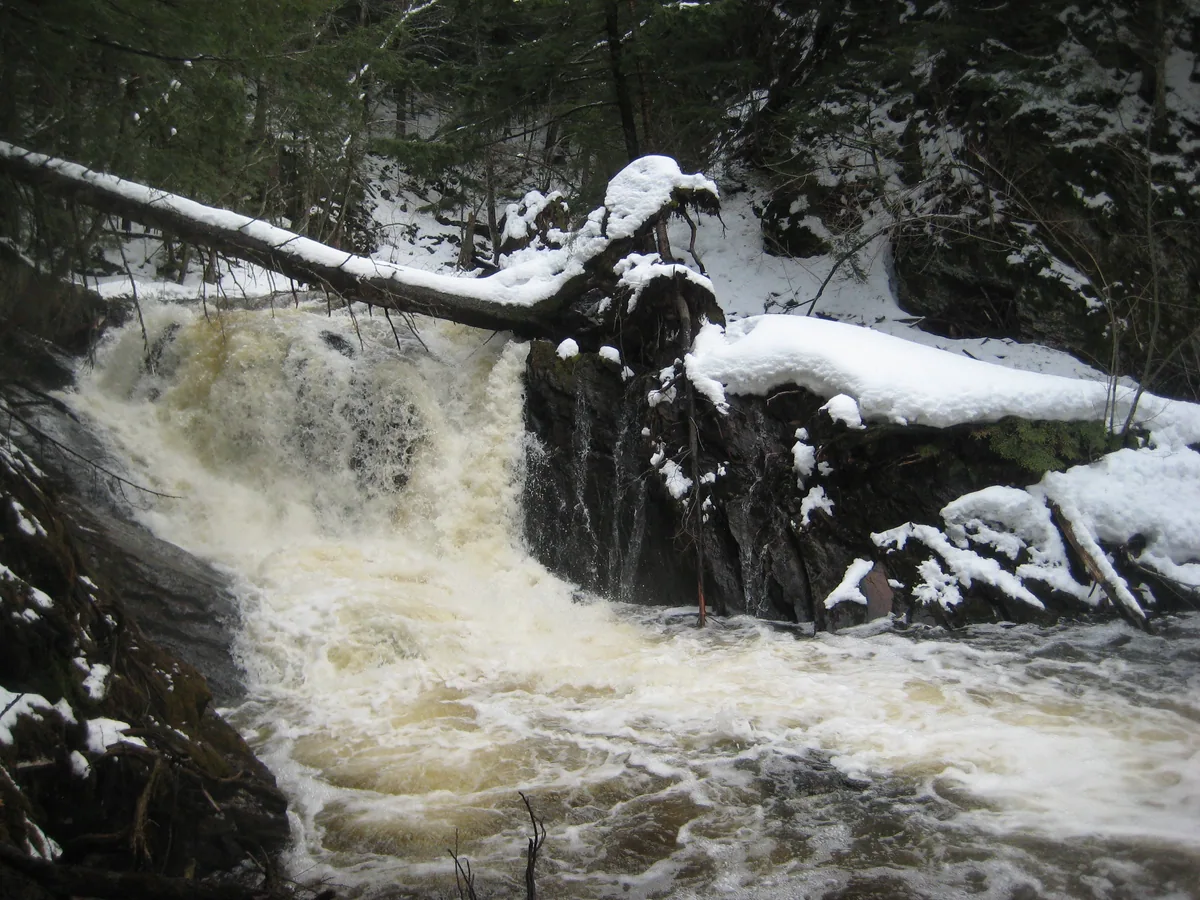 Logjam plunge on Carp River