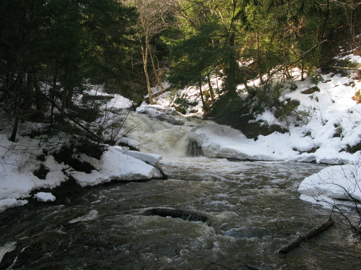 Riverside at the falls