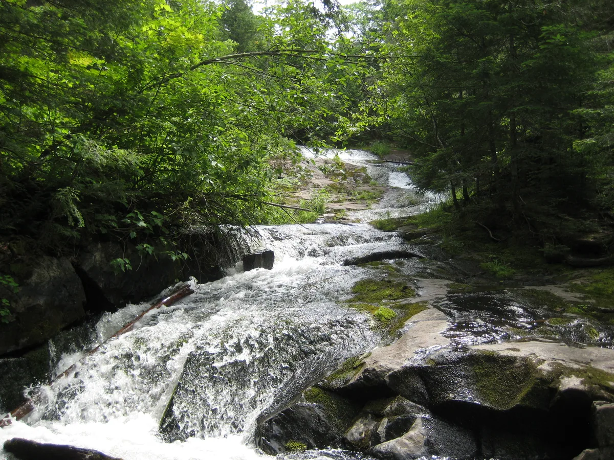 Looking up at Cliff Falls