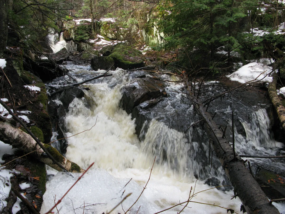 Frothing middle drop