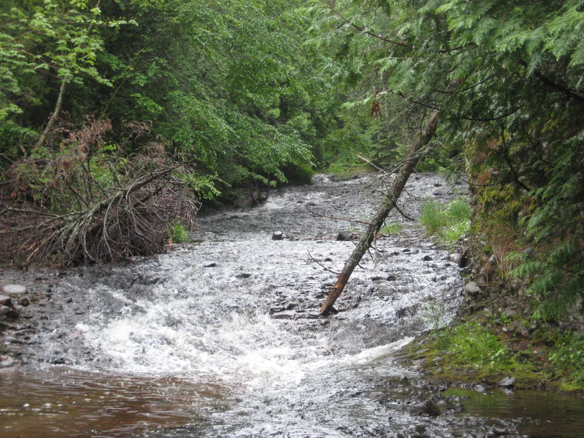Lower set of falls