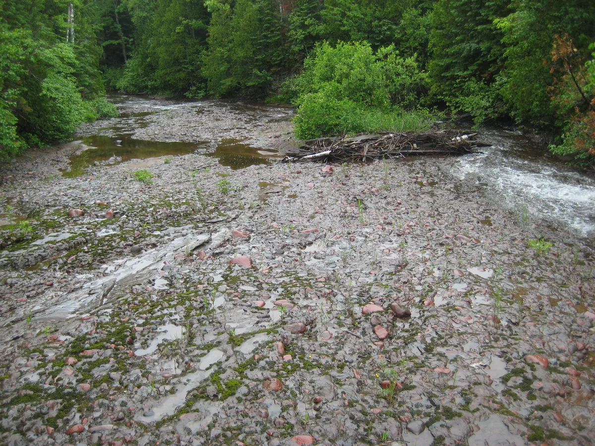 Slick conglomerate river bed