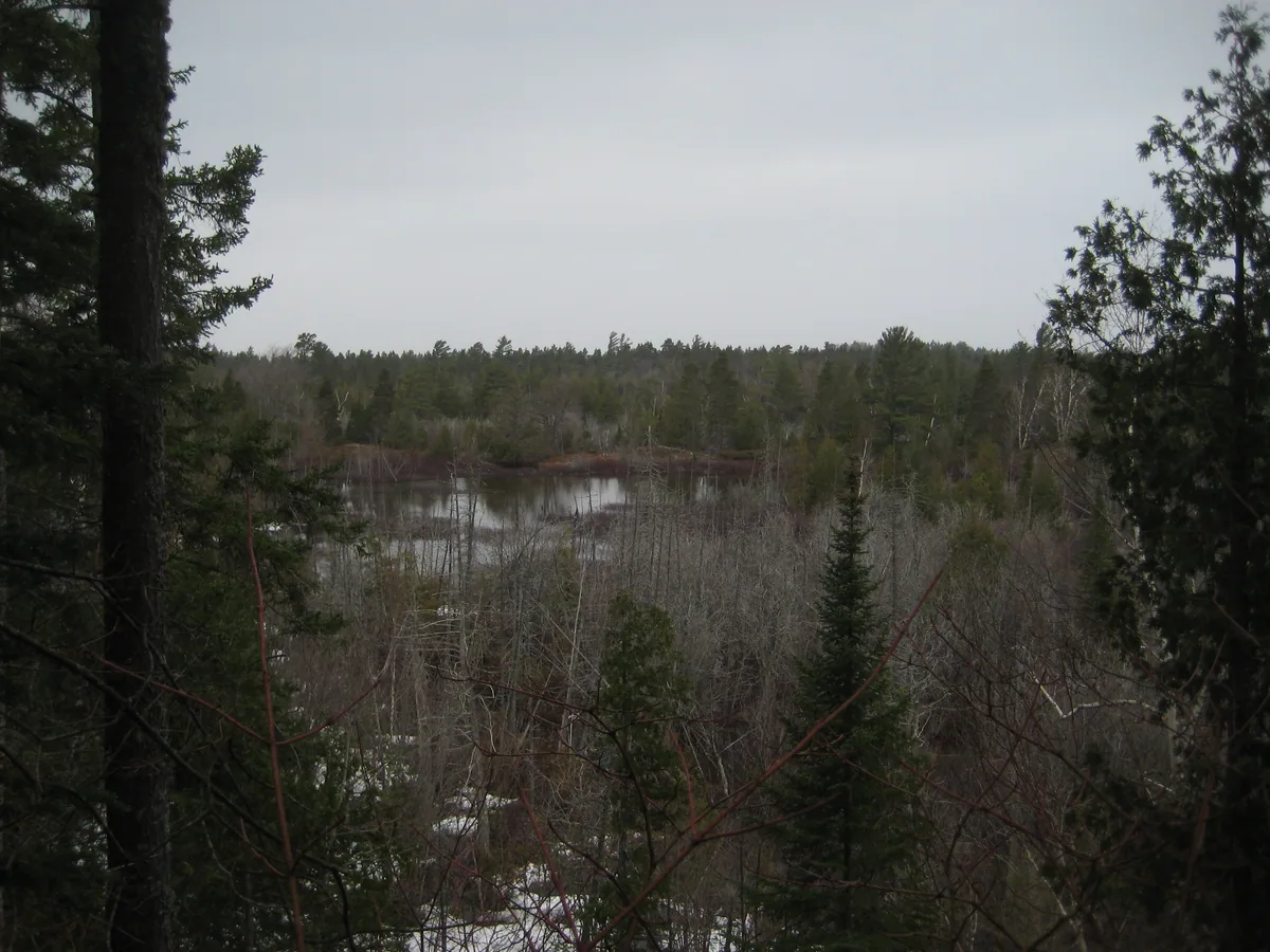 Looking down at the swampy lands below