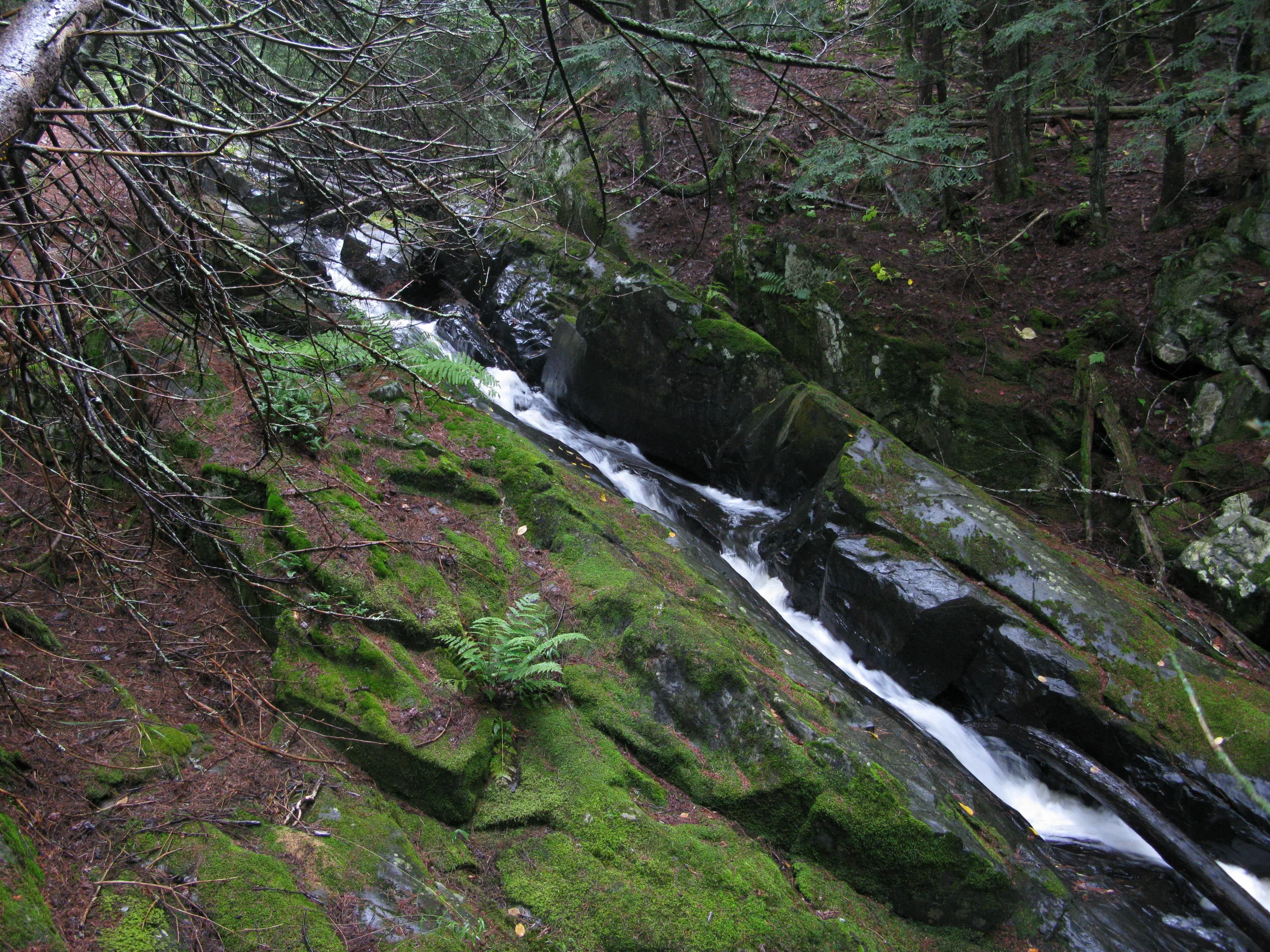 Sideways view of the long chute