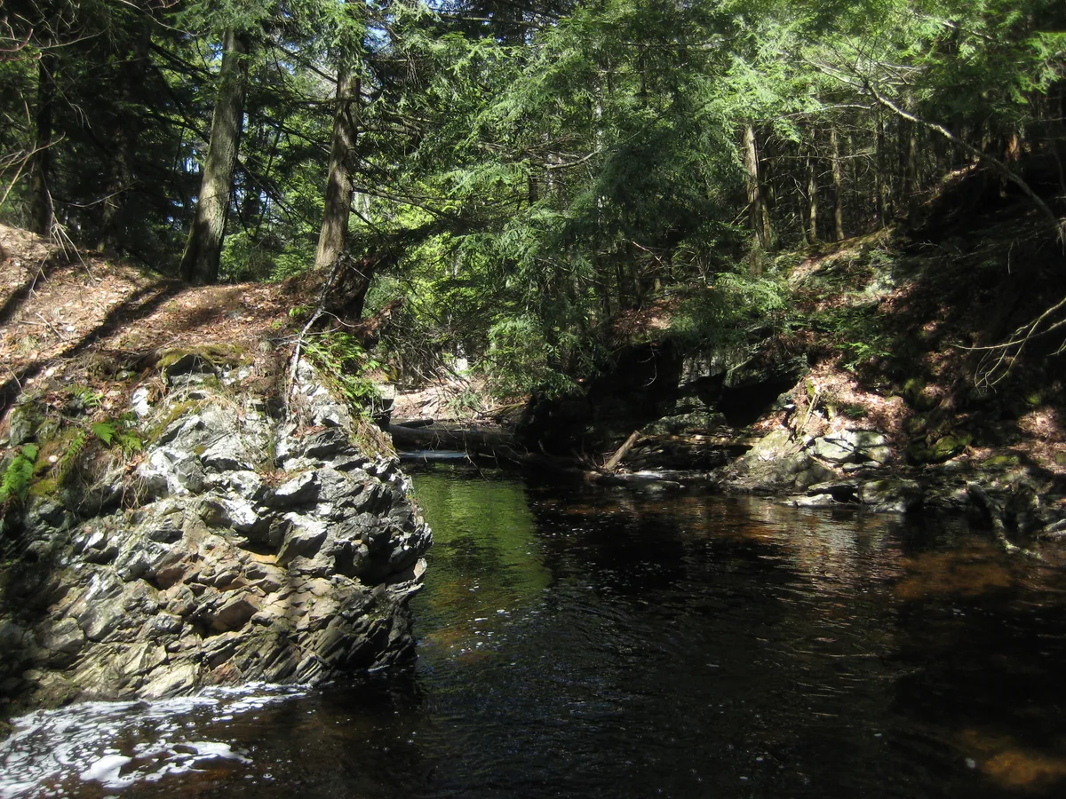 Calm pond downstream