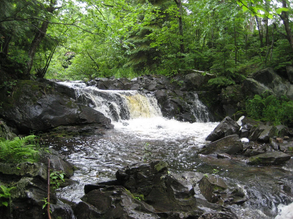 Damp rocks around Daults Falls
