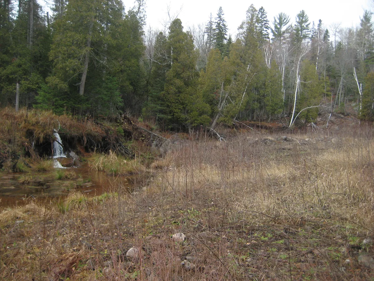 Gravelly land below the dam