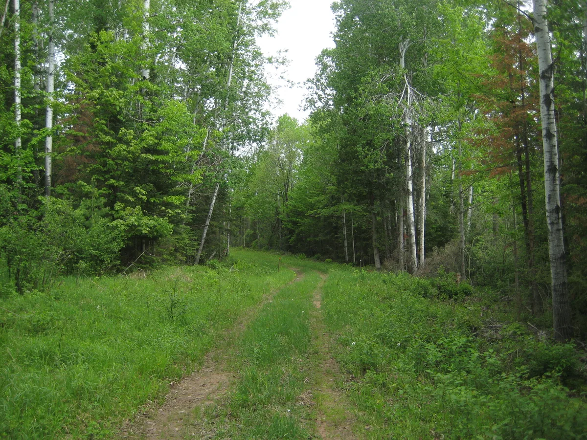 Access road for the dam
