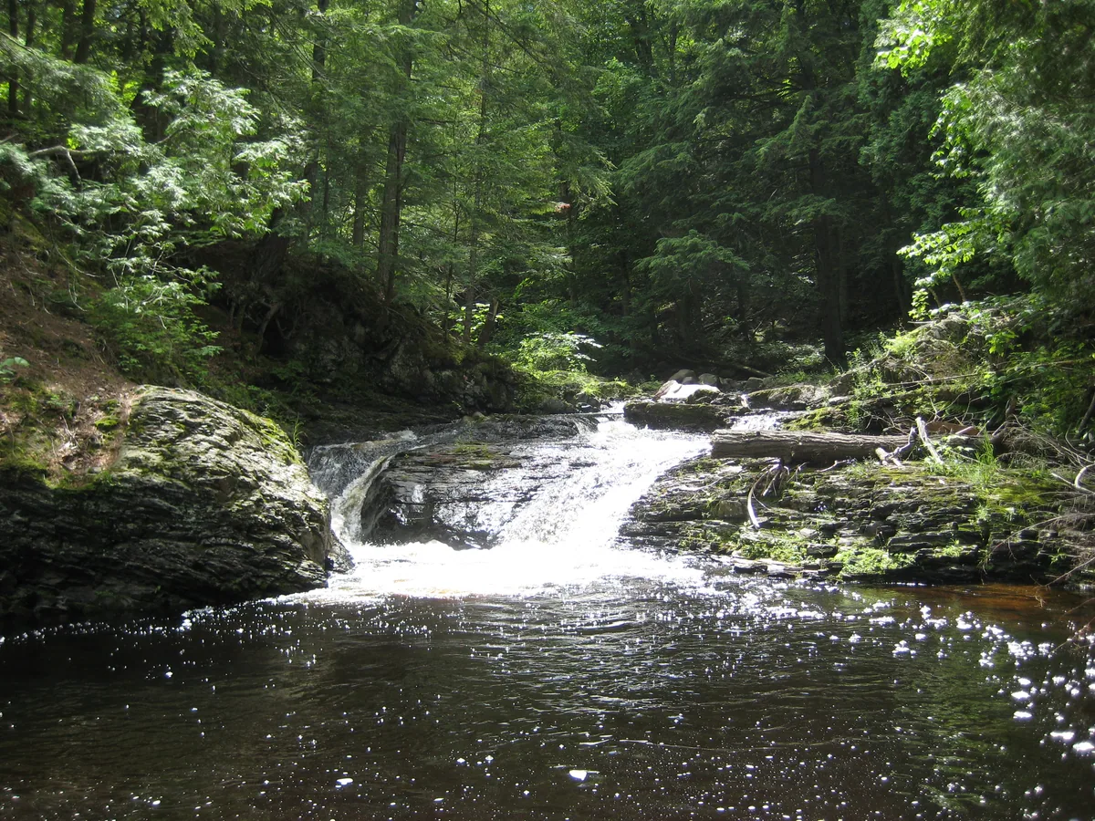 Close view of the drop