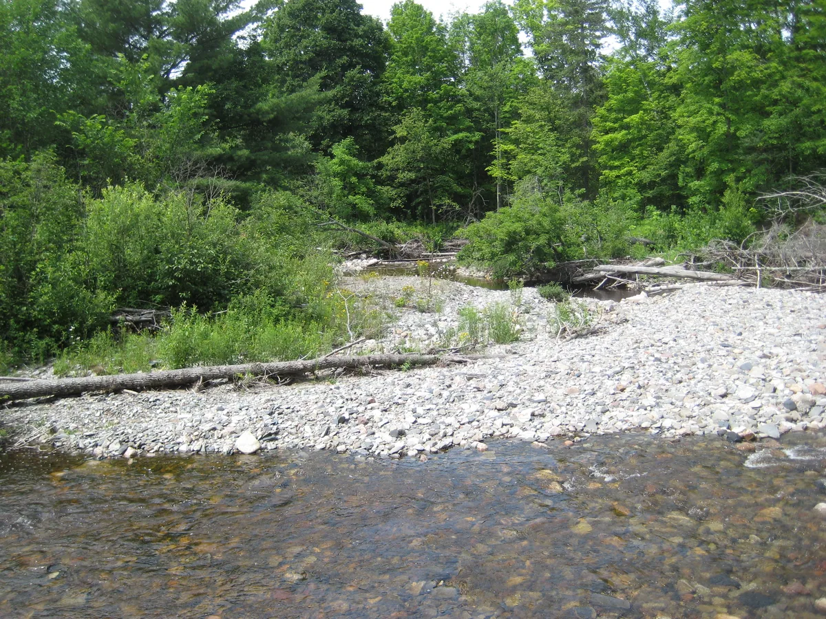Gravelly rock on the river