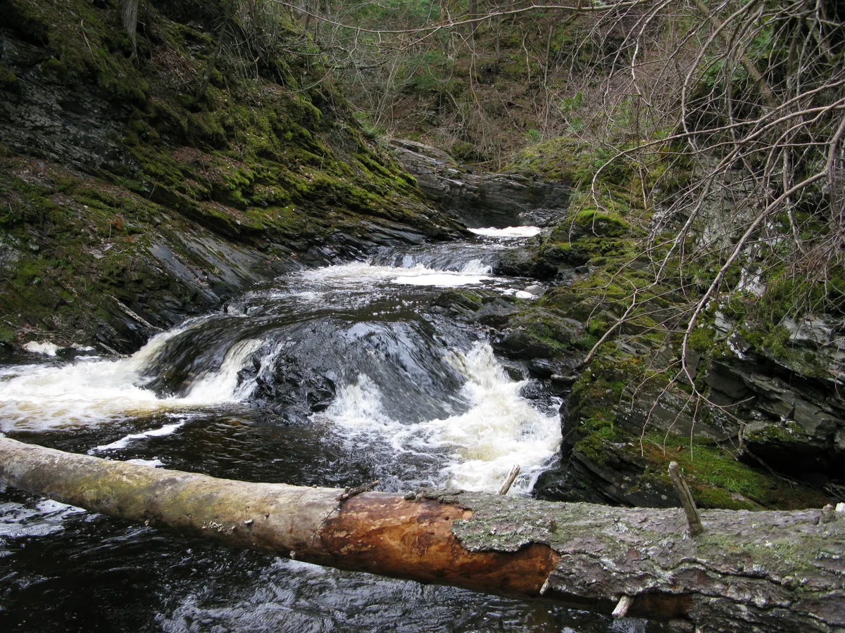 Set of drops below a sharp bend in the river