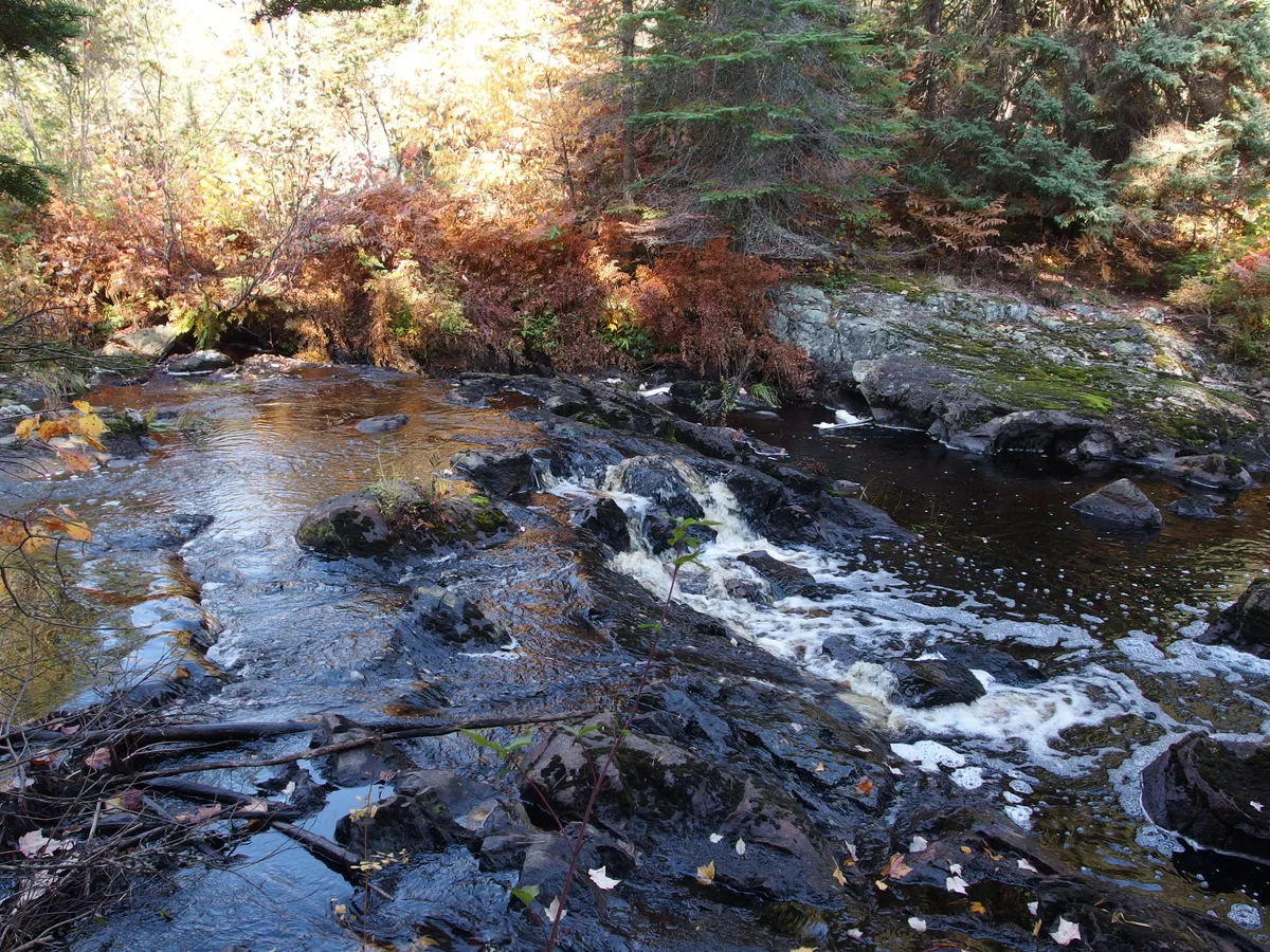 Along the crest of the river