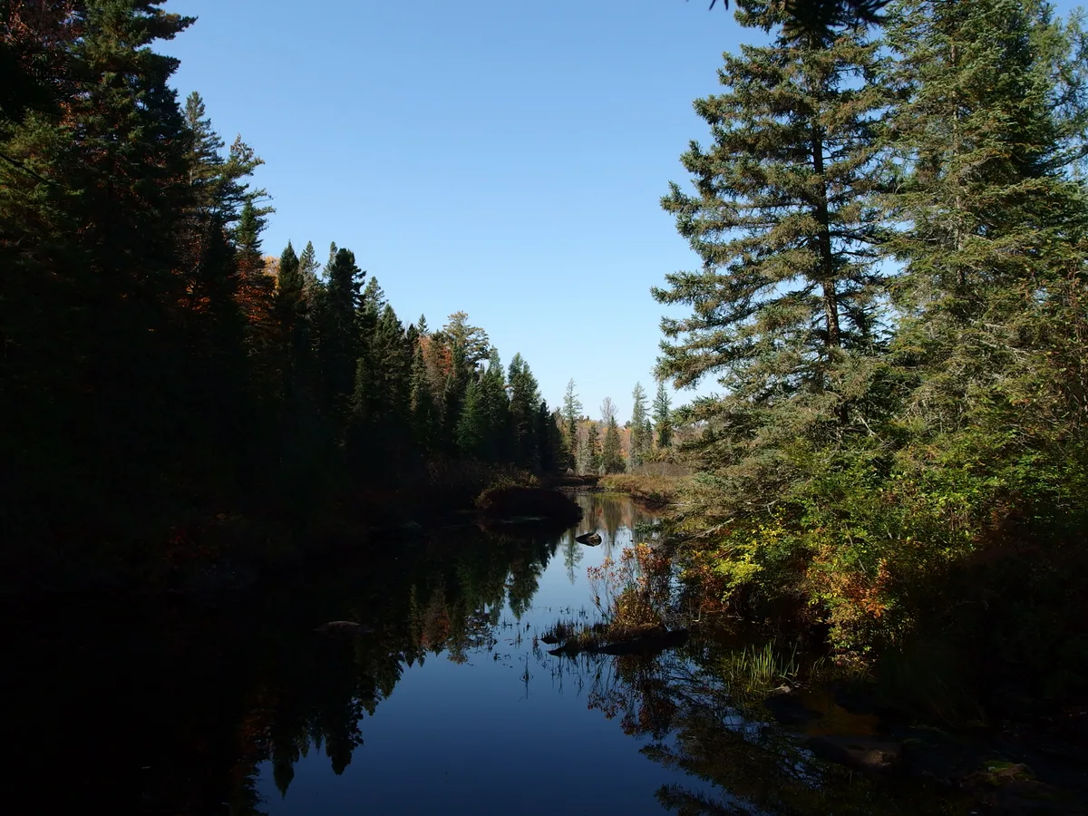 Calm river stretching upstream