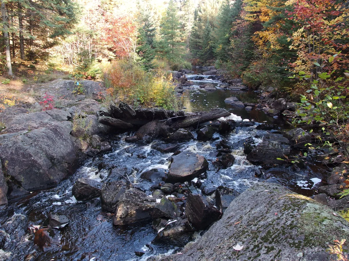Rapids above the bridge