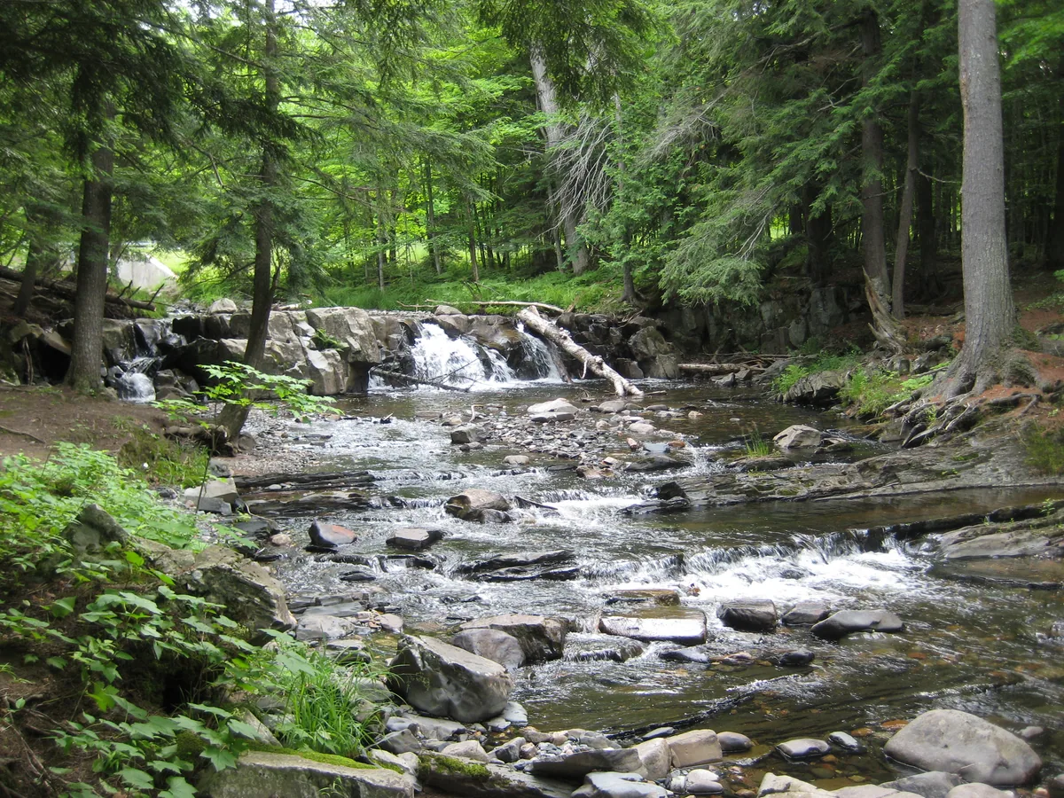 Up at Ericks Falls