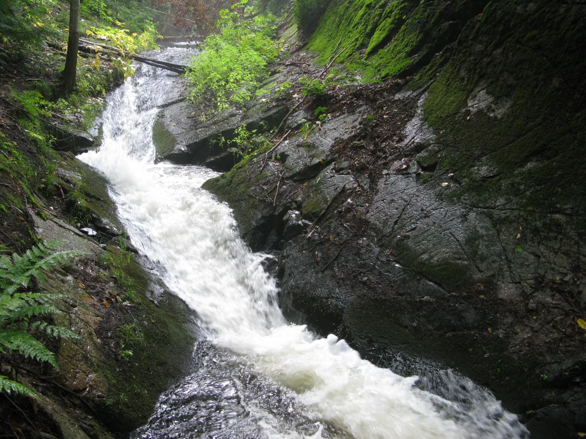 Upper drops