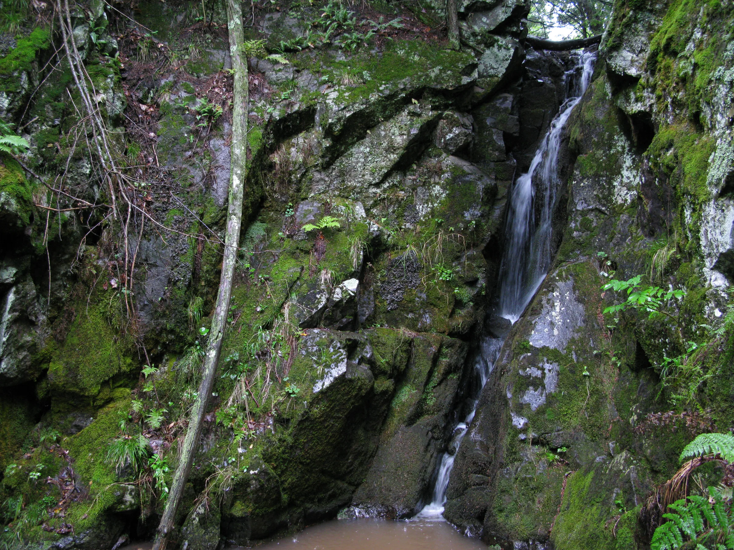Trickling Gleason Falls