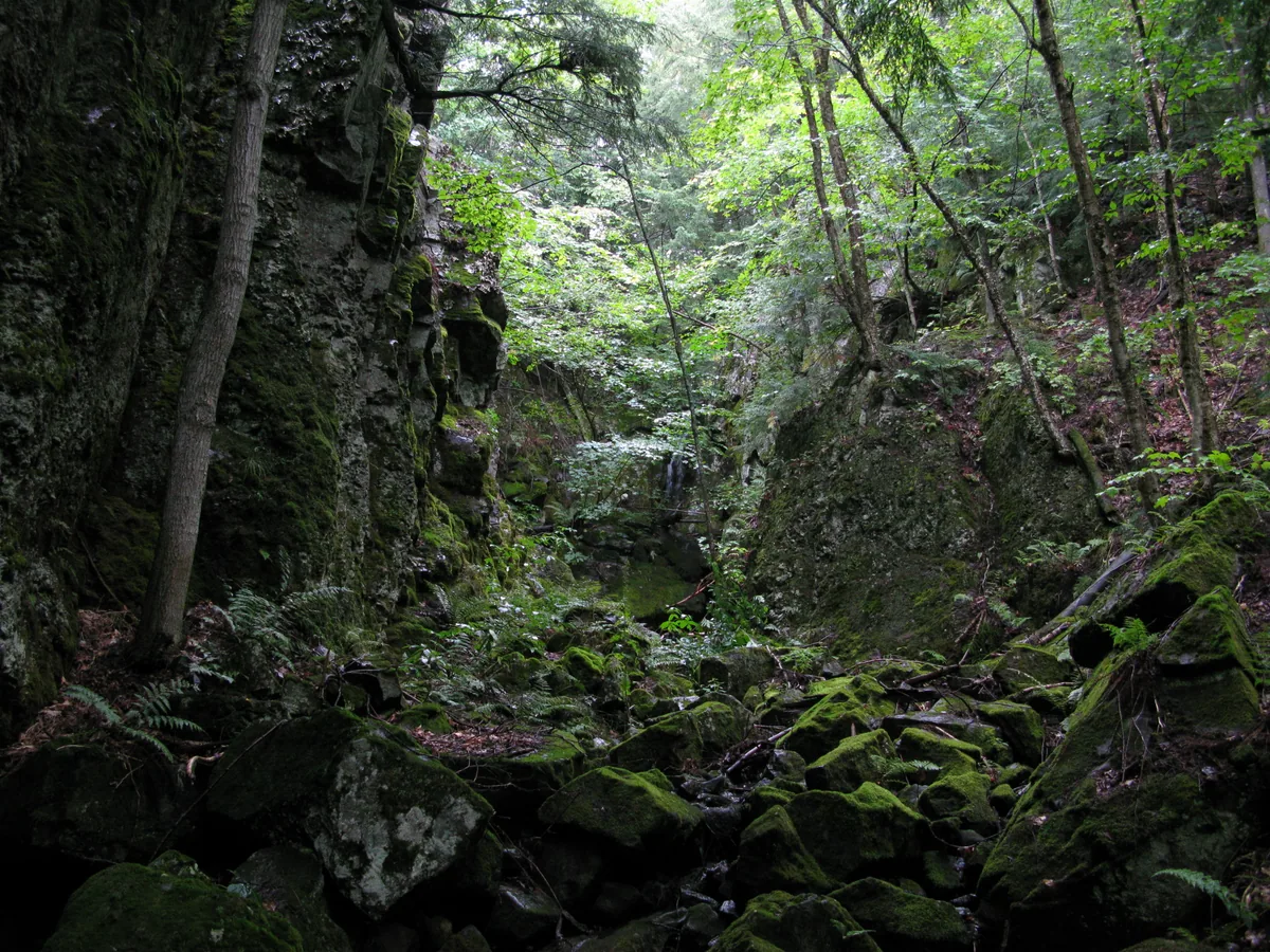Tight gorge around the falls