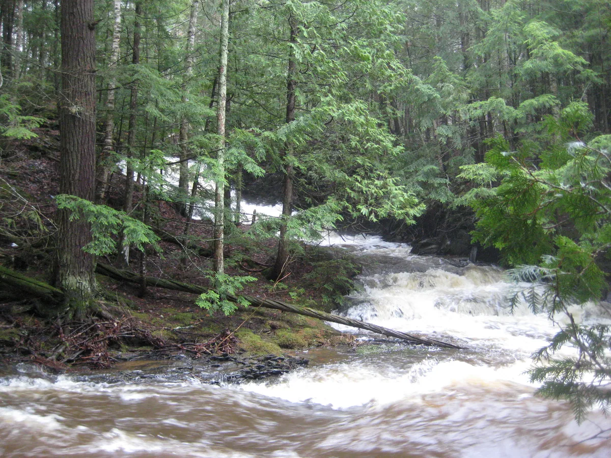 Swollen waterfall across Silver River