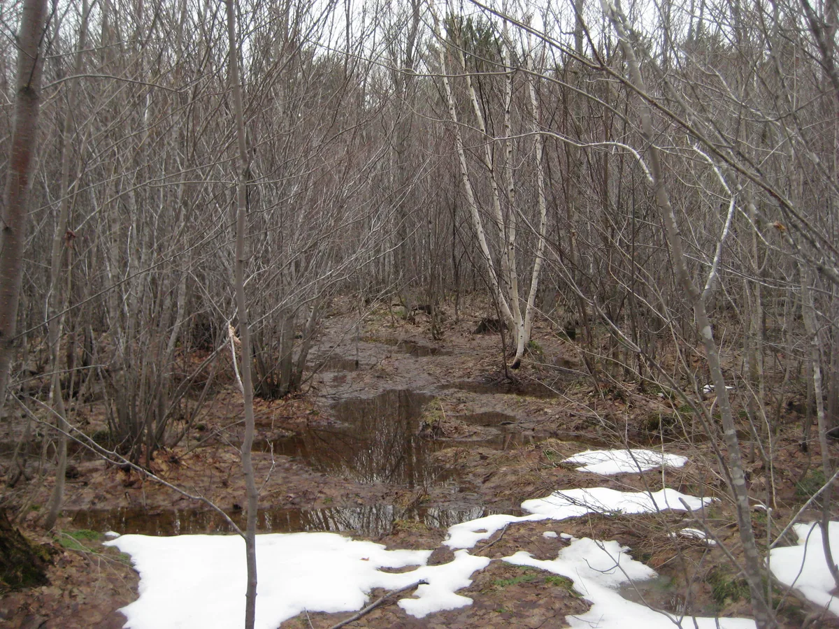 Tough bushwhacking