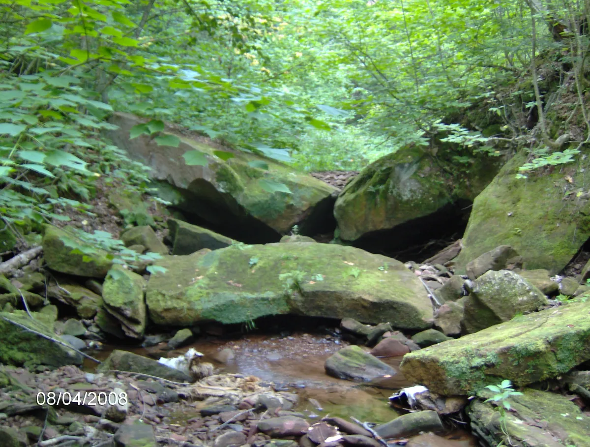 Large mossy boulders in the creek