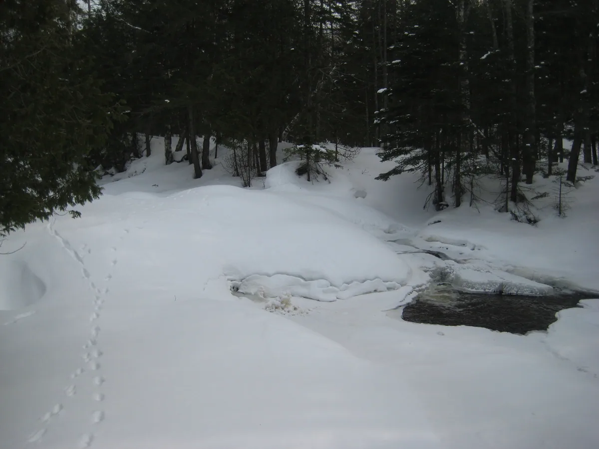 Snowy mounds hiding the falls