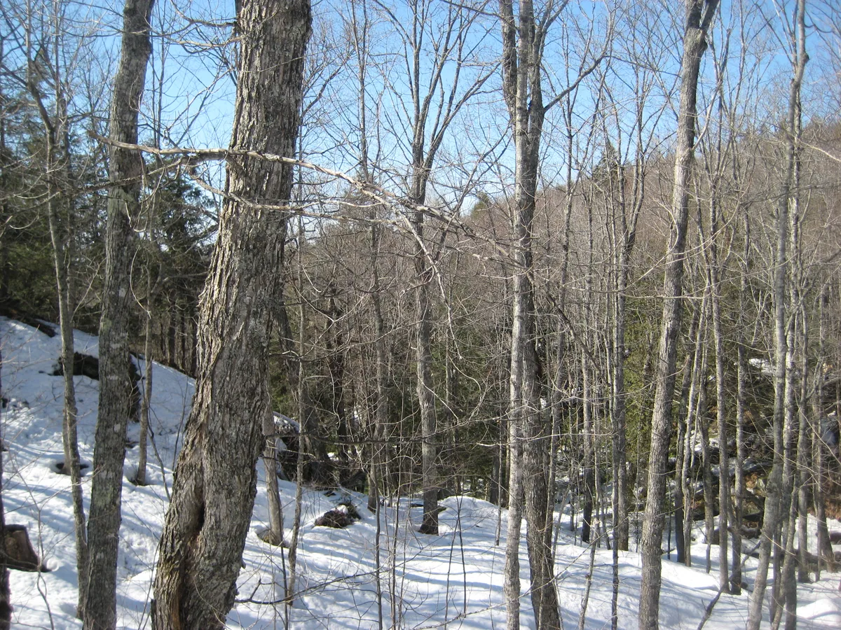 Snowy hills