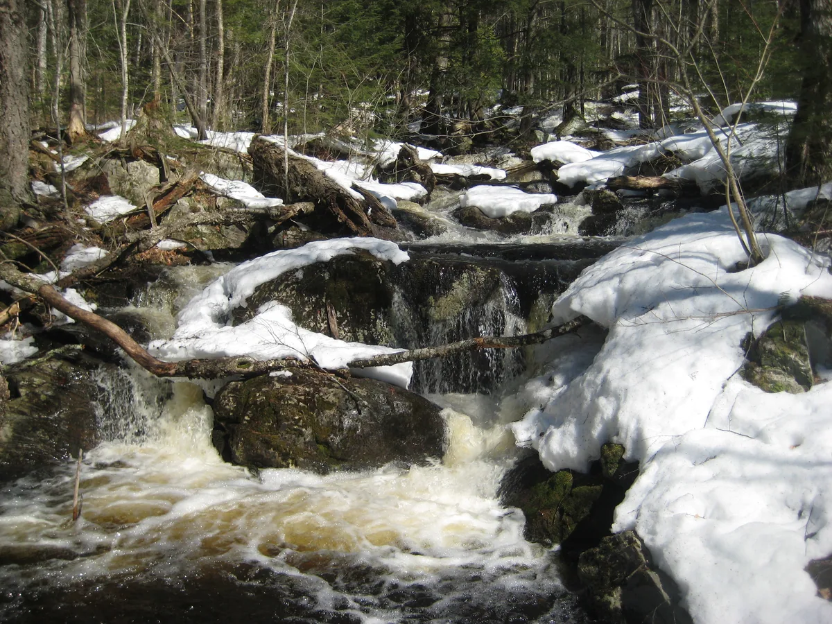 Swollen, snowy lower drops