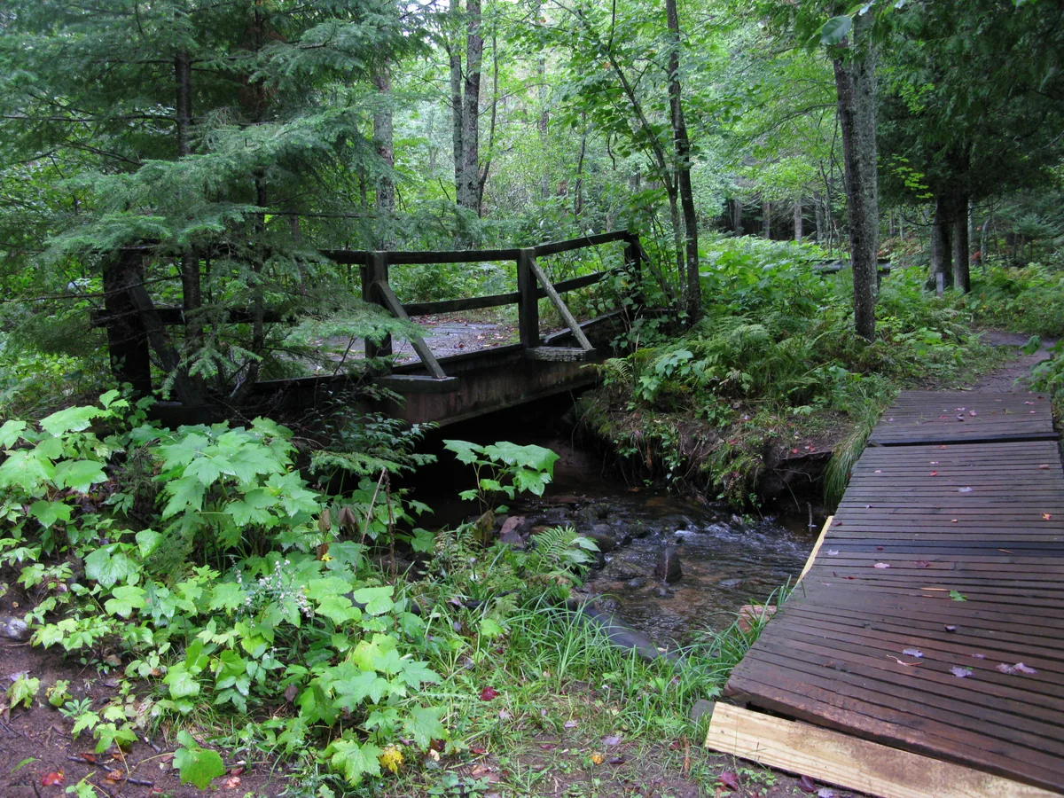 Two bridges along the Harlow trail