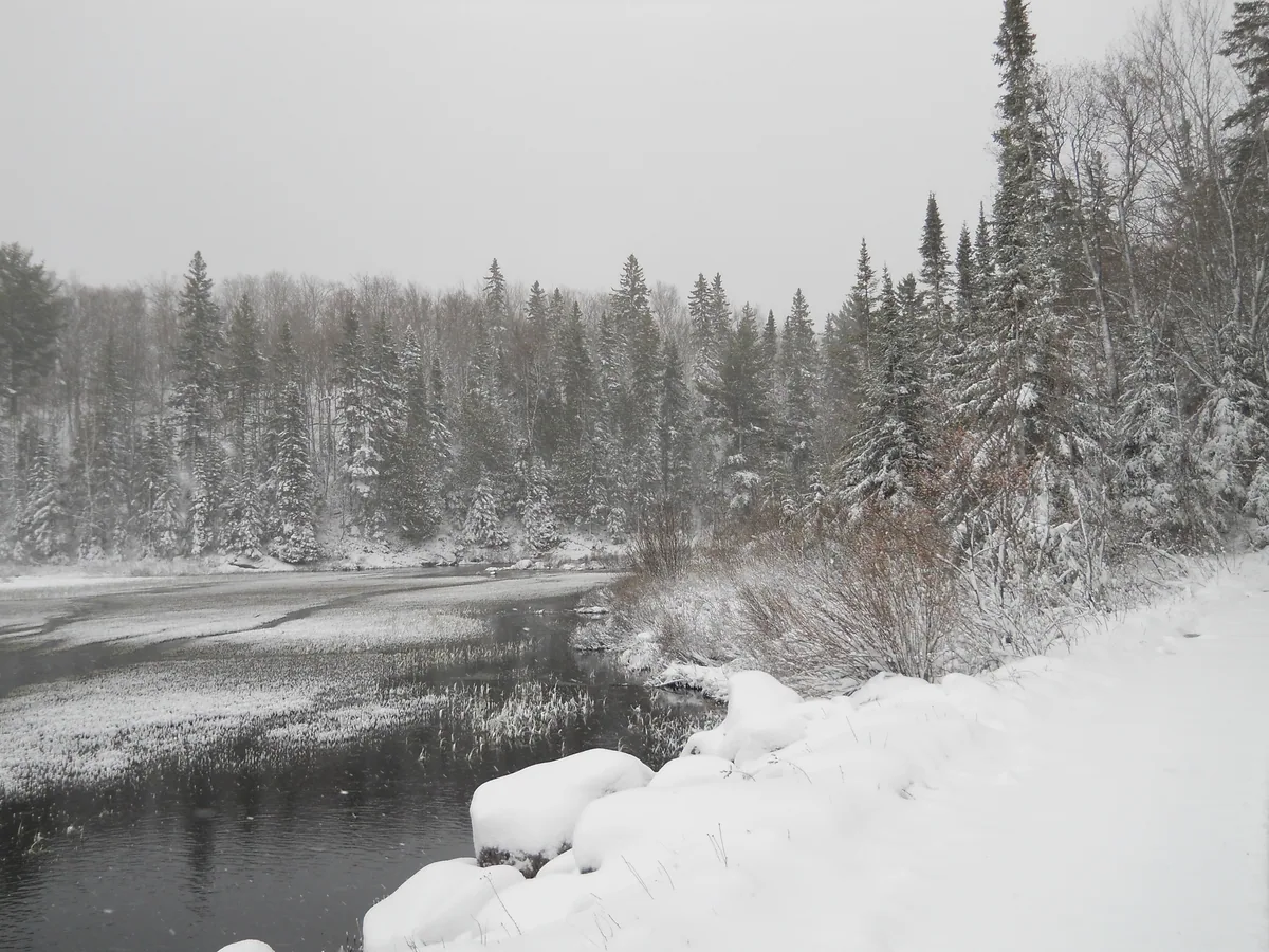 Snowy upper swamp