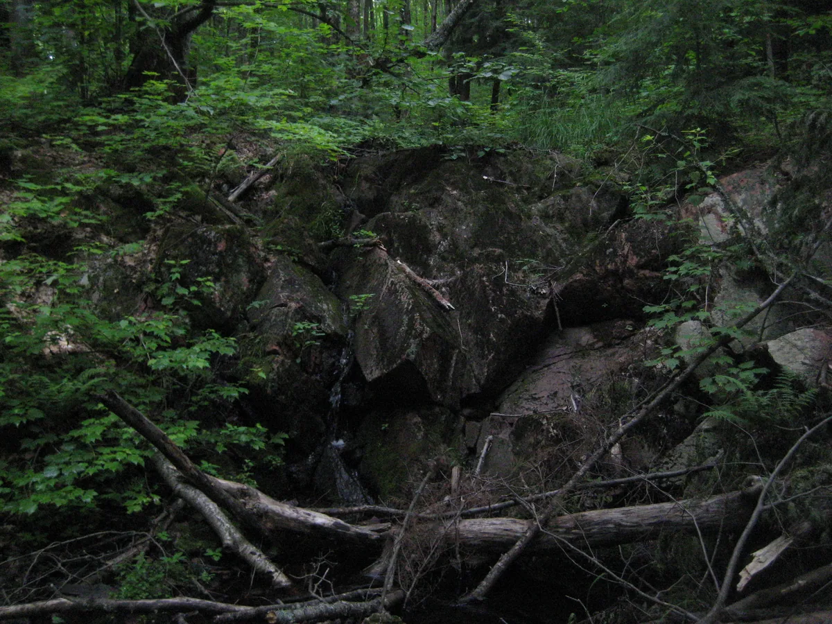 Dark jumble of rocks surrounded by green