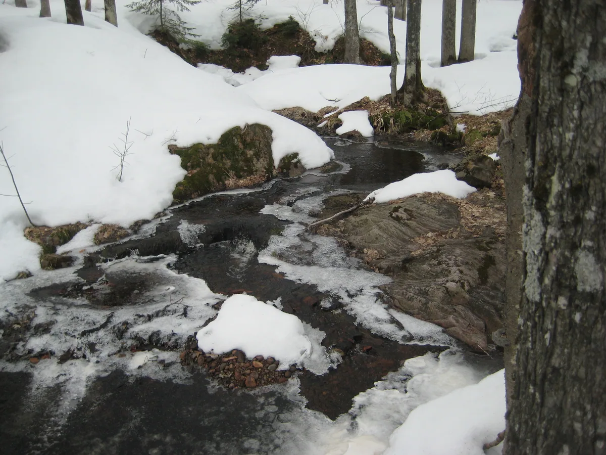 First outcroppings along the creek