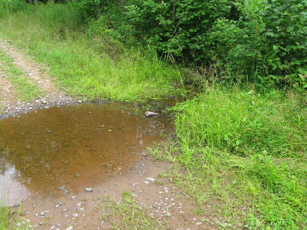 First view of the tiny creek