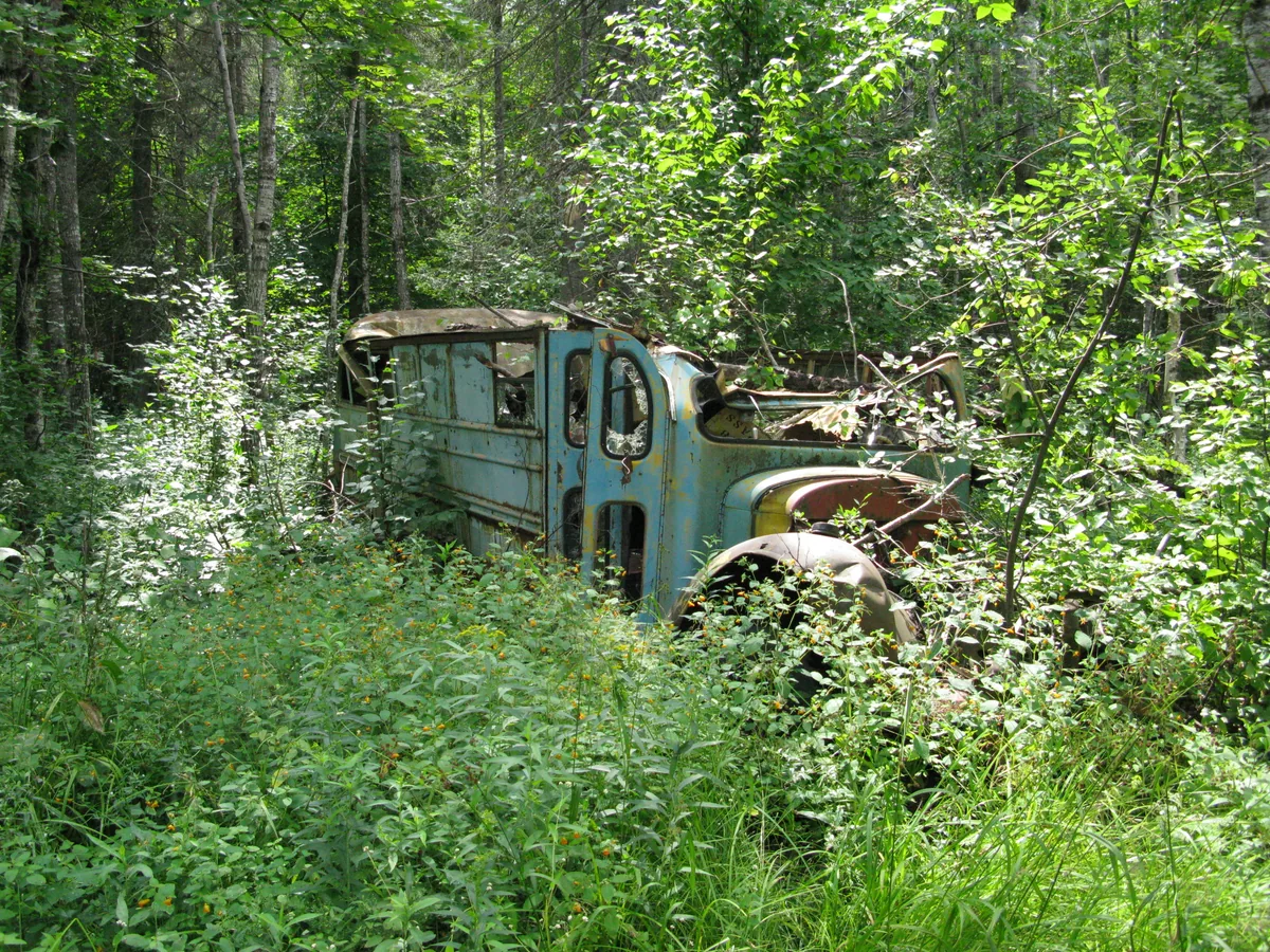 A forgotten blue bus