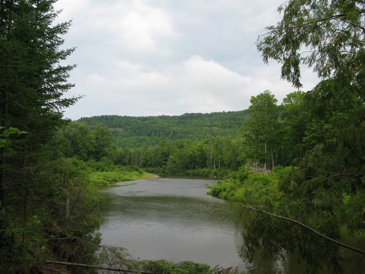 Green around the mighty Ontonagon River