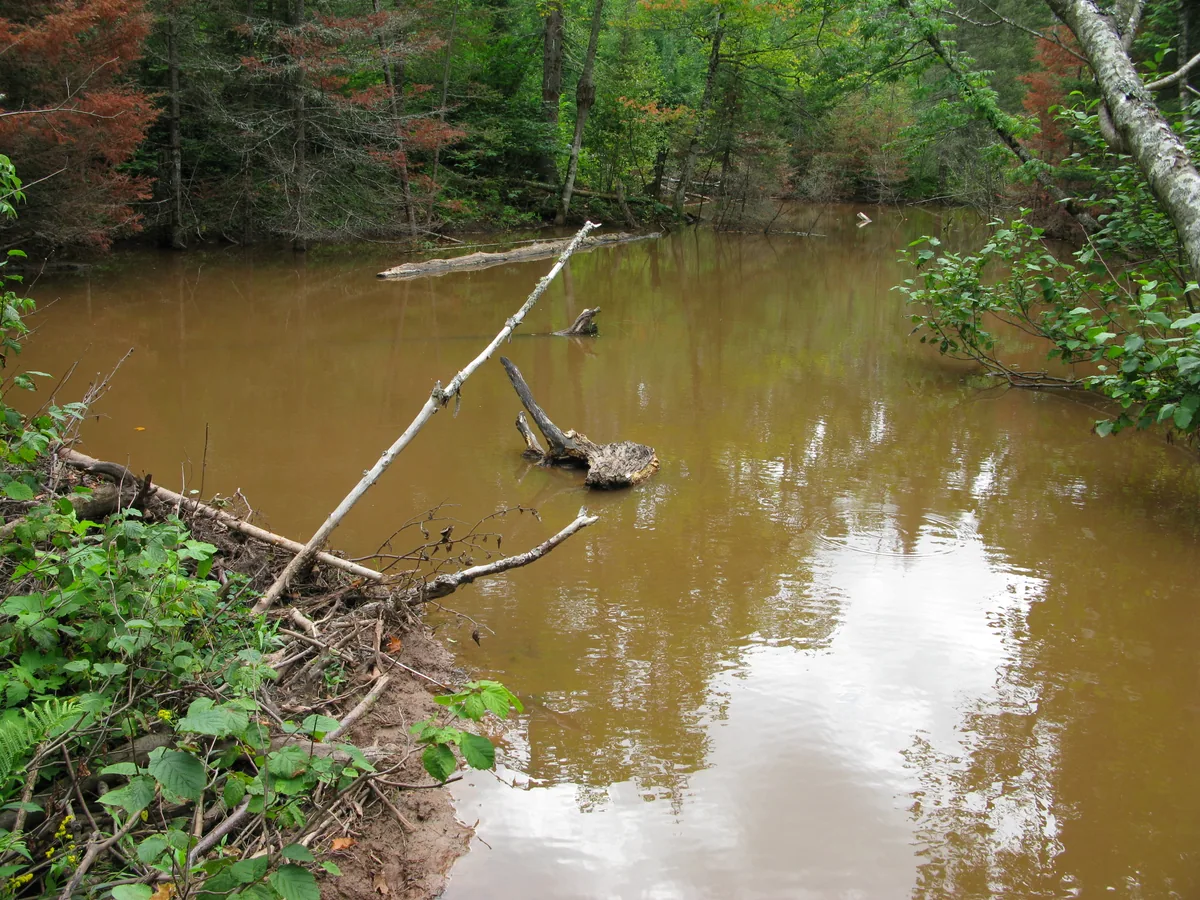 Treacherous muddy ponds